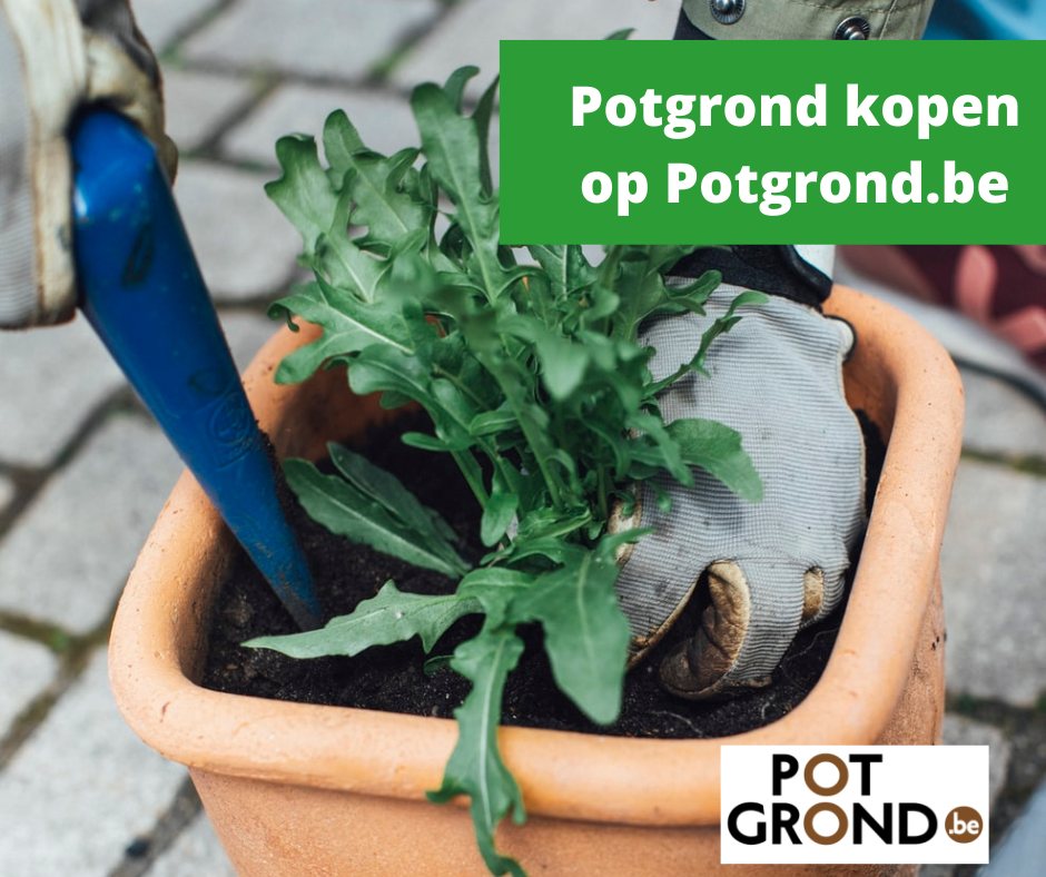 Potgrond kopen op Potgrond.be | Potgrond Aanbiedingen