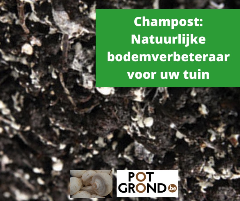 Champost: Natuurlijke bodemverbeteraar voor uw tuin