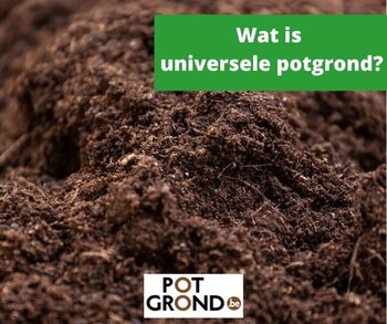 Wat is universele potgrond?