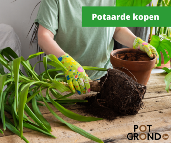 Potaarde kopen op Potgrond.be