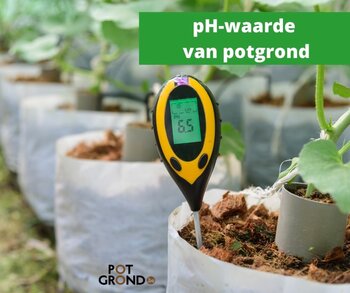 Alles over de pH-waarde van potgrond