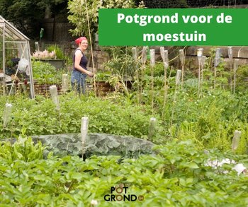 Potgrond voor de moestuin